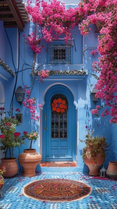 a blue building with potted plants and flowers on the front door is shown in full bloom