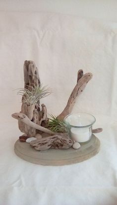 an air plant sitting on top of a plate next to a glass bowl filled with milk