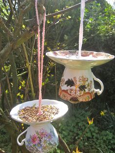 two bird feeders hanging from a tree in front of some bushes and trees with flowers on them