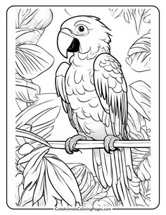 Coloring page featuring a detailed illustration of a parrot perched on a branch, surrounded by tropical leaves and plants. Ideal for kids and adults who enjoy coloring animals and nature scenes. Kids Coloring Pages, Bird Coloring Pages, Colorful Parrots, Coloring Supplies, Relaxing Colors, Online Coloring Pages, Outline Drawings, Kids Coloring