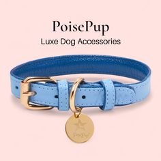 a blue dog collar with a gold plate on it