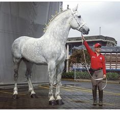 a woman is standing next to a statue of a horse