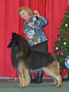 a woman standing next to a brown and black dog