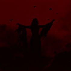 the silhouette of a person with arms outstretched in front of a red sky and birds flying overhead