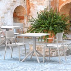 four chairs and a table in front of a potted plant on a patio area