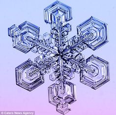 a snowflake is shown in the middle of purple and blue colors with an intricate design