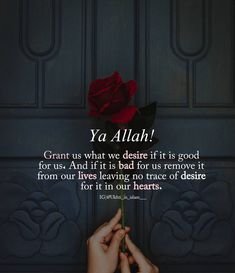 someone holding a rose in their hand with the quote ya allaah