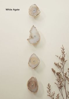 three white agate shells sitting on top of a table next to some flowers and branches