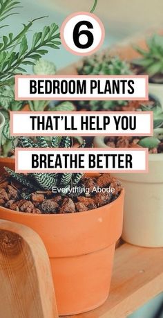 Best Lifestyle, Plant Ideas, Bedroom Plants, Dreamy Bedrooms, Indoor Gardening, House Decorating