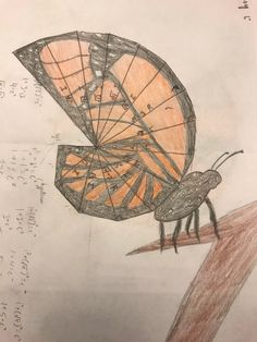 a drawing of a bug with an umbrella on it's back and writing underneath