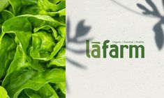 the word farm written in green leafy vegetables next to a photo of lettuce leaves