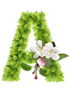 the letter is made up of leaves and flowers