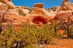 an area with rocks and trees in the foreground, including one that has a cave on it