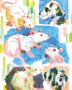 four different colored drawings of mice and dogs