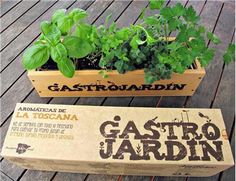 a box with some plants in it sitting on a wooden table next to a cardboard box