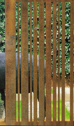 an elephant standing behind a wooden fence in front of some bushes and trees on the other side