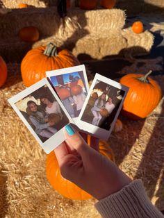 someone holding up three polaroid photos in front of pumpkins and hay bales