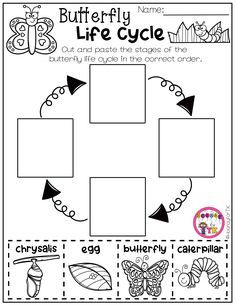 the butterfly life cycle worksheet for children to learn how to write and draw