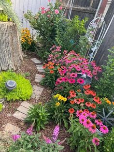 the garden is full of colorful flowers and plants