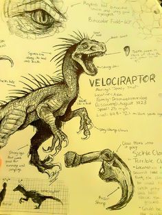 a drawing of a velociraptor on a piece of paper