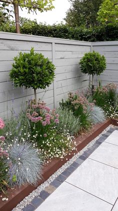 an outdoor garden with flowers and shrubs