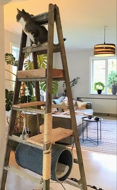 Looking to upgrade your cat's playground? Check out our stylish cat tree designs that will keep your furry friend entertained for hours! Our cat trees are not only functional but also add a touch of elegance to your home decor. Give your cat the ultimate play area with our selection of high-quality cat trees. Cat Furniture Design, Chat Diy, Cat Tree House