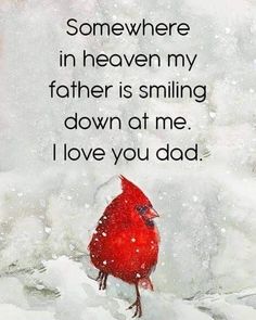 a red bird sitting on top of snow covered ground next to a quote that says, somewhere in heaven my father is smiling down at me i love you dad