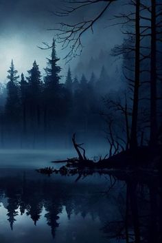 a dark forest filled with lots of trees next to a body of water at night