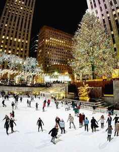 people skating on an ice rink in front of a christmas tree