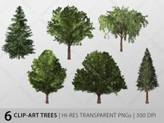 six different types of trees with the text clipart trees hi - res transparent pngs