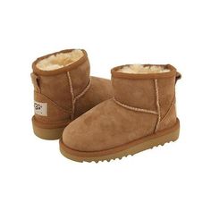 Ugg Boots, Chestnut, White Background, Boots, White