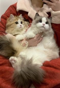 a woman holding two cats in her arms while she takes a selfie with her phone