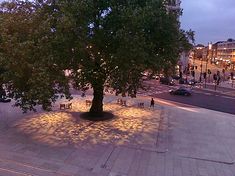 a tree in the middle of a plaza with people walking and sitting on benches around it