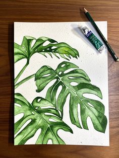 Watercolor painting on Fabriano paper of three Monstera sheets. Handmade, original. Big Leaf Painting, Watercolour Plant Painting, Watercolor Markers Art, Watercolor Markers Ideas, Plant Art Drawing, Monstera Leaf Drawing, Monstera Watercolor, Aquarelle Painting Ideas, Monstera Leaf Painting