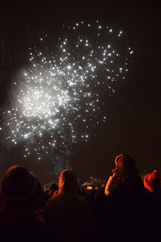 people watching fireworks in the night sky