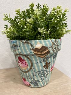 a potted plant sitting on top of a wooden table