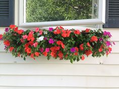 a window box filled with red, pink and purple flowers next to a white house