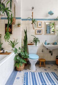 a bathroom with potted plants on the wall