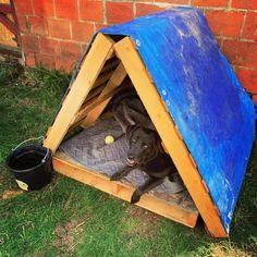 a black dog laying in its bed under a blue tarp on the grass next to a brick wall