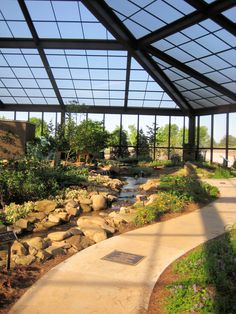 the walkway is lined with rocks and plants