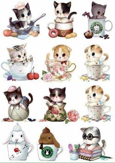 a bunch of kittens that are sitting in some coffee cups and mugs on a white background