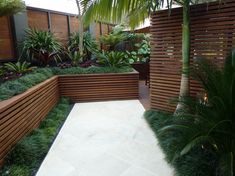 an outdoor garden with wooden planters and plants on the sides, surrounded by greenery