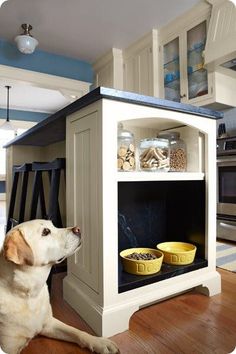 a dog laying on the floor in front of a cabinet with food and water bowls