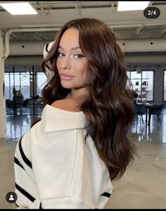 Mahogany Brunette Hair, Brown Mahogany Hair Color, Cherry Brown Highlights, Mahogany Brown Hair Color, Hair Brush Blow Dryer, Mahogany Hair Color, Brush Blow Dryer, Sunkissed Hair Brunette