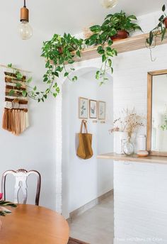 Small Apartment Dining Room, Plants Hanging, Apartment Dining Room, نباتات منزلية, Apartment Dining, Cute Dorm Rooms, Plant Decor Indoor, House Plants Decor, Room With Plants