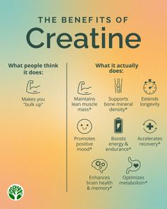 Think creatine is just for bulking up? Think again! 💪 #SmartCreatine+ does so much more: it helps maintain lean muscle mass, boosts brain health, supports bone density, increases energy, accelerates recovery, and more.  #forestsuperfood #healthtips #Fitness #Health #Wellness #SupplementSmart Creatine Benefits, Healthy Food Chart, Brain Health Supplements, Sup Yoga, Increase Energy, Health And Fitness Articles, Lean Muscle Mass, Hormone Health, Bone Density