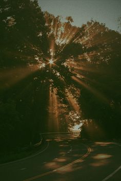 the sun shines brightly through the trees on this road