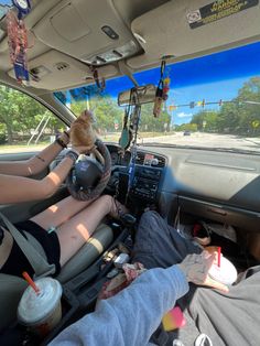 two people sitting in the driver's seat of a car with a cat on their lap