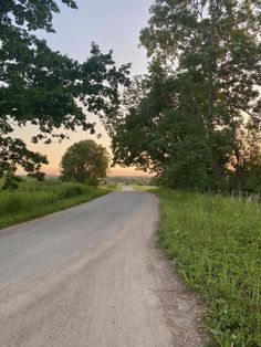 an empty road surrounded by tall grass and trees