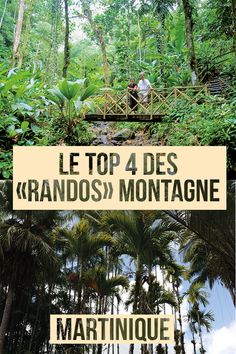 the top 4 des grandos montagnes de marnique entre du jungle